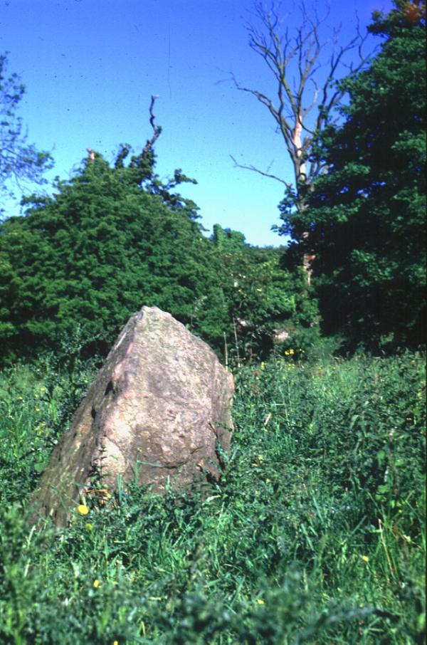 Click for the gallery page to add comments and vote (PID:8600) Grace Dieu Priory Stone