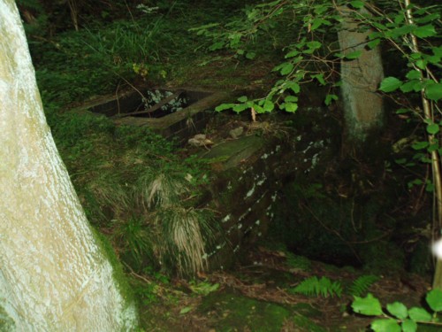 Click for the gallery page to add comments and vote (PID:23561) Robin Hood's Well (Beauvale)
