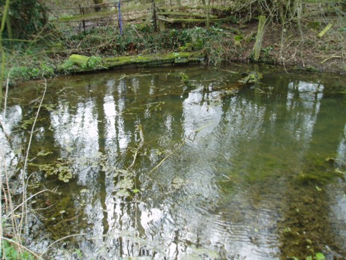 St. Ann's Well