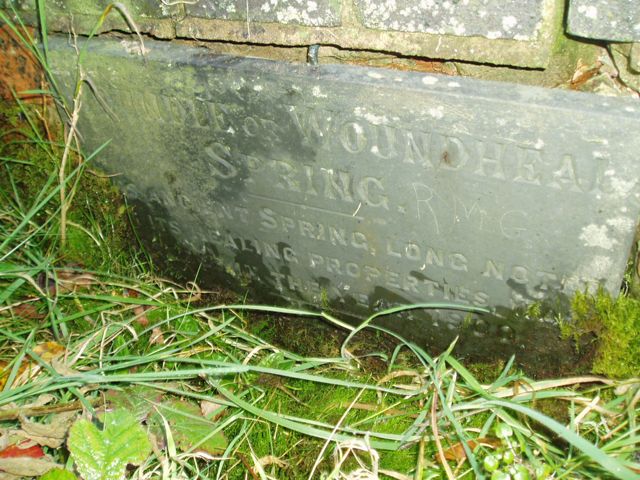 Woundheal Spring