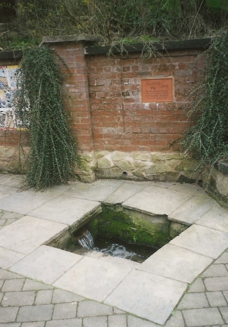Blackfordby Spring