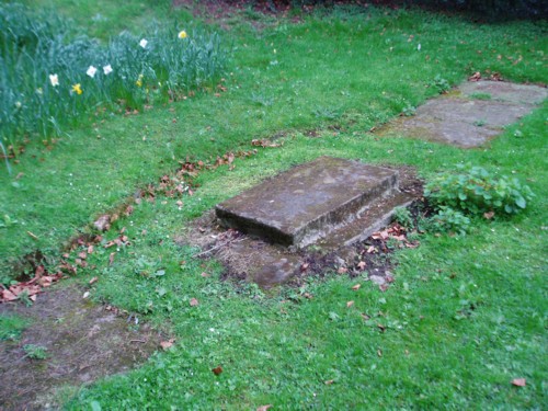 Click for the gallery page to add comments and vote (PID:23569) St Mary's Well (Newstead)