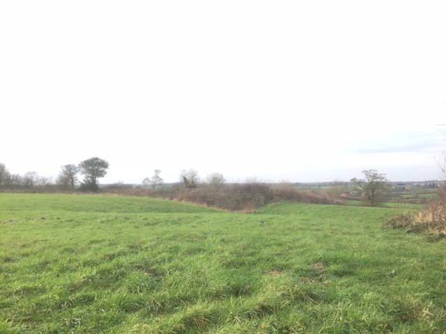 Belton Banjo enclosure