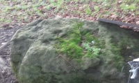 Peter's Pence Stone - PID:207582