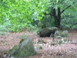 Bradgate Hunt's Hill Stone