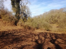 Holwell Mouth
