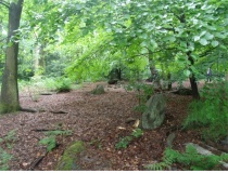 Bradgate Hunt's Hill Stone