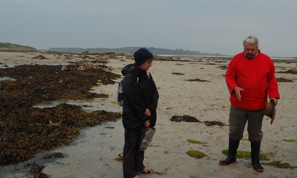 Click for the gallery page to add comments and vote (PID:211127) Samson Flats Intertidal Remains