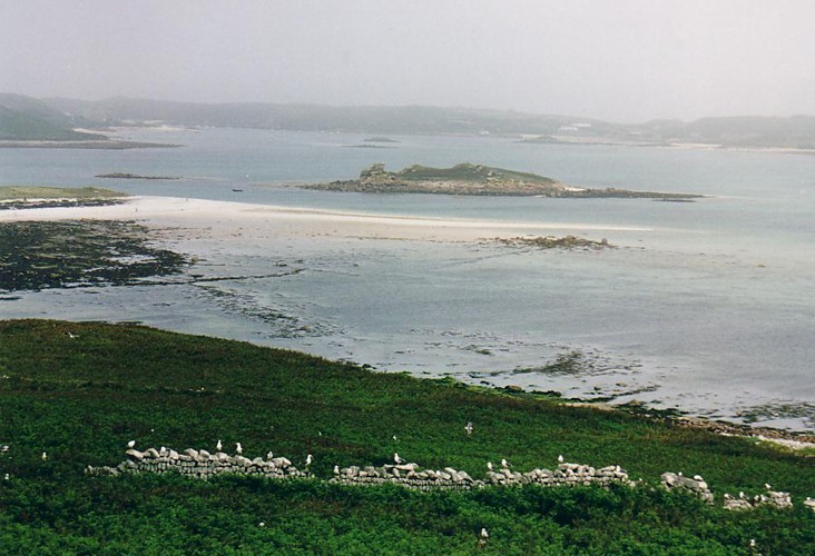 At low tide, rectangular and square field walls are revealed.  A closer look reveals hut circles, graves and cists.  This central area of Scilly betwen the islands of St Mary's, Tresco, Bryher and St Martin's  was the central fertile plain surrounded by hills and crags that are now islands and rocks.  Scilly was still largely one island in Roman times, but was much larger in the Bronze Age. Could 