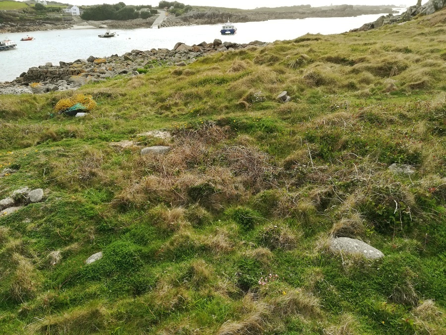 Tol Tuppens Bronze Age Settlement