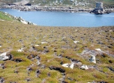 Shipman Head Down, Bryher