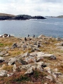 Shipman Head Down, Bryher