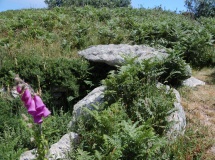 Obadiah's Barrow