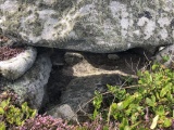 Tregarthen Hill - PID:215050