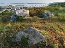Buzza Hill