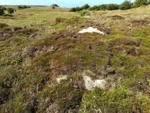 Kimbra Cairn