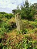 The Long Rock