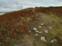 Samson, South Hill