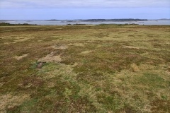 Carn Morval Down (2)