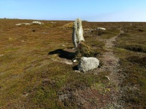 Chapel Down Standing Stone