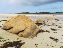 Samson Flats Intertidal Remains