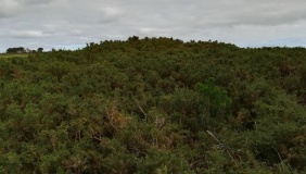 Higher Moor Cairns