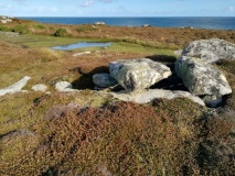Porth Hellick Down