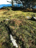 Helvear Hill