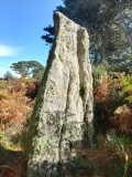 The Long Rock