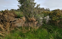 Tinklers Hill, St Martins