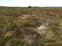 Salakee Down 6 (2 cairns)