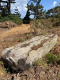The Long Rock