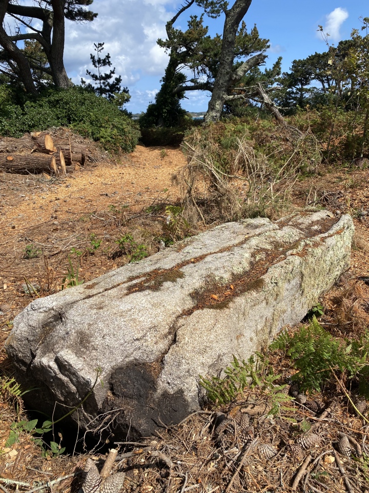 The Long Rock
