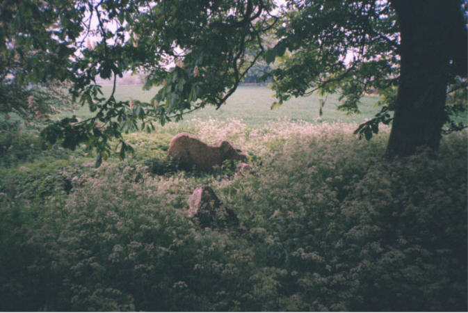 The Devil's Bed and Bolster