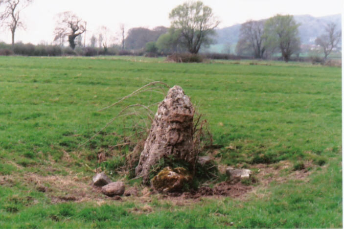 The Devil's Stone near Compton Bishop standing stones. If you are coming from Axbridge to the A38,take the road to Cross and follow till you come to a junction on the left.About 100mtrs after this is a field gate,the stone is in this field.If you look towards Shute Shelve you can see more stones,I don't know what they are but they warrant investigation.