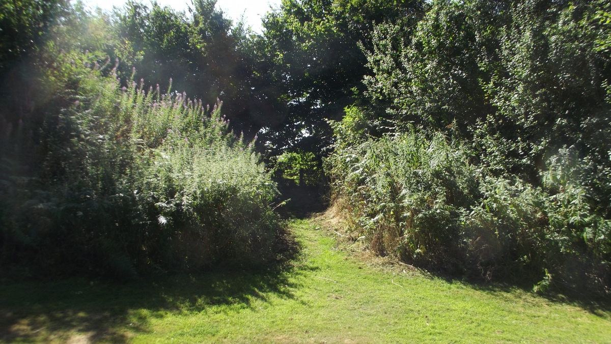 Click for full size image of Blackers Hill Promontory Fort (PID:245604) Blackers Hill Promontory Fort