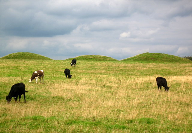 Click for the gallery page to add comments and vote (PID:77955) Ashen Hill Barrows