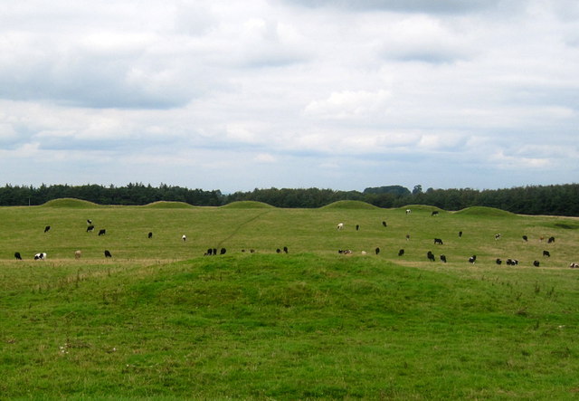 Click for the gallery page to add comments and vote (PID:77956) Priddy Nine Barrows