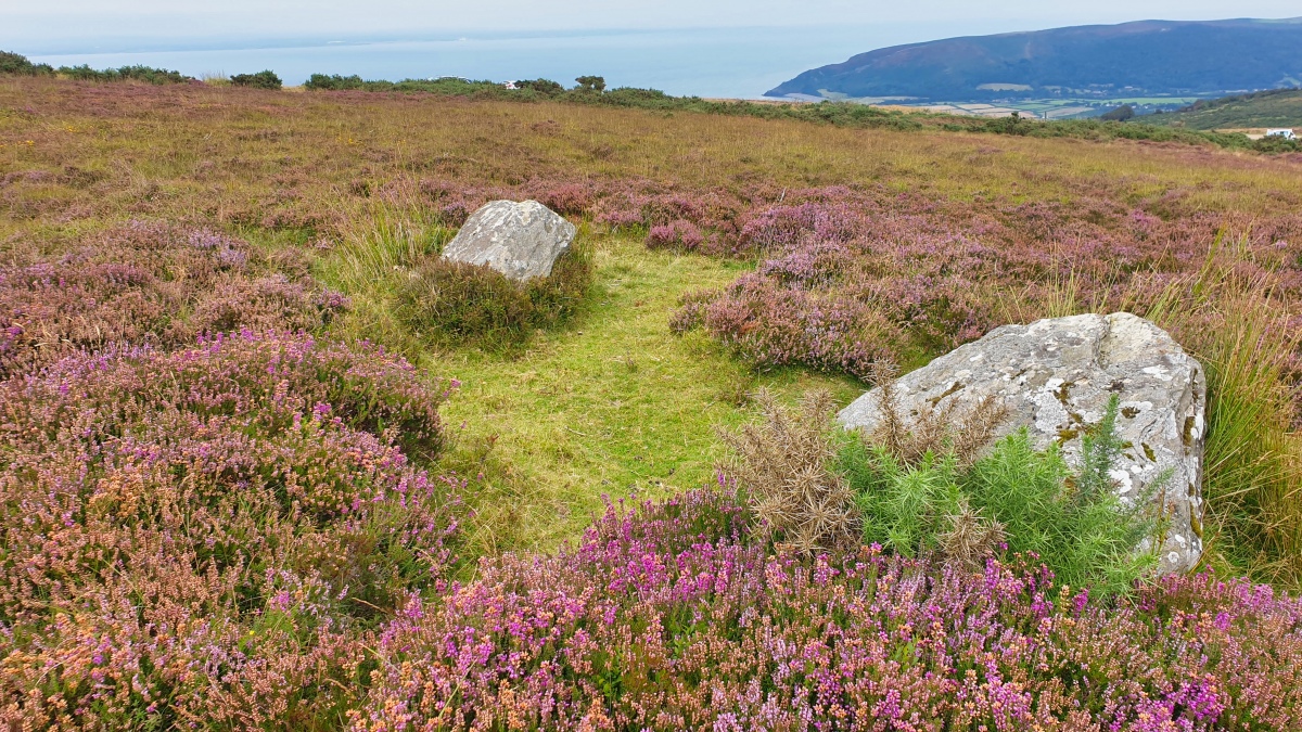 Click for the gallery page to add comments and vote (PID:231518) Whit Stones