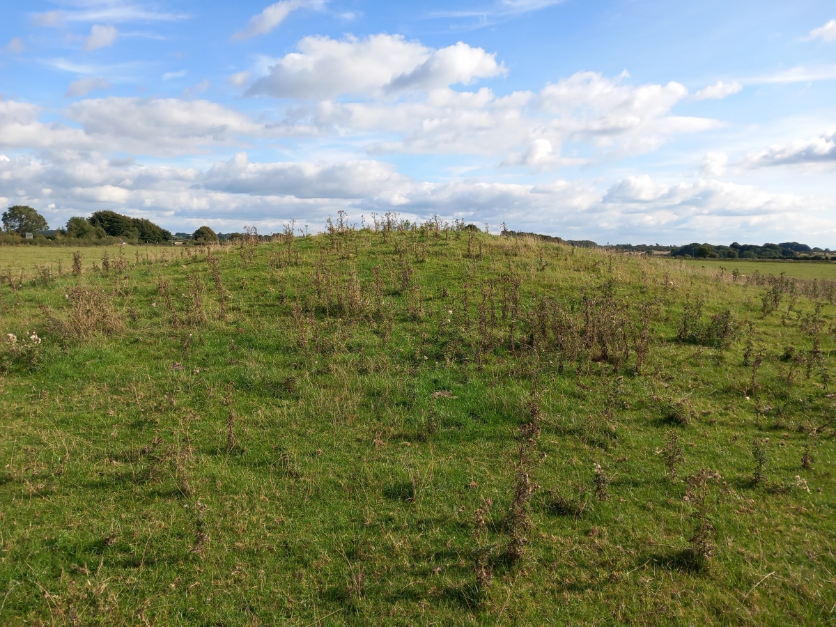 Whites Town Farm Tumulus (PID:247777) Whites Town Farm Tumulus