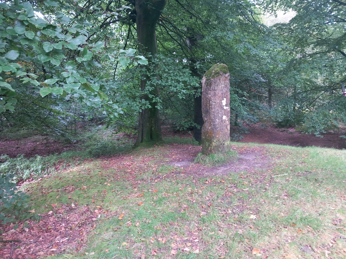 Beacon Hill (Oakhill) Barrows