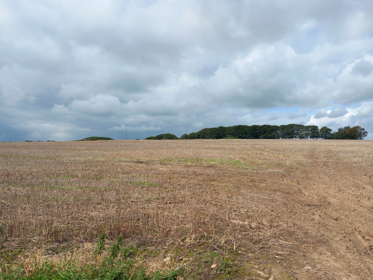 Whitnell Corner Barrows (PID:262657) Whitnell Corner Barrows