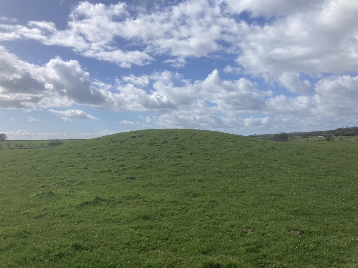 Click for full size image of Whites Town Farm Tumulus (PID:303336) Whites Town Farm Tumulus