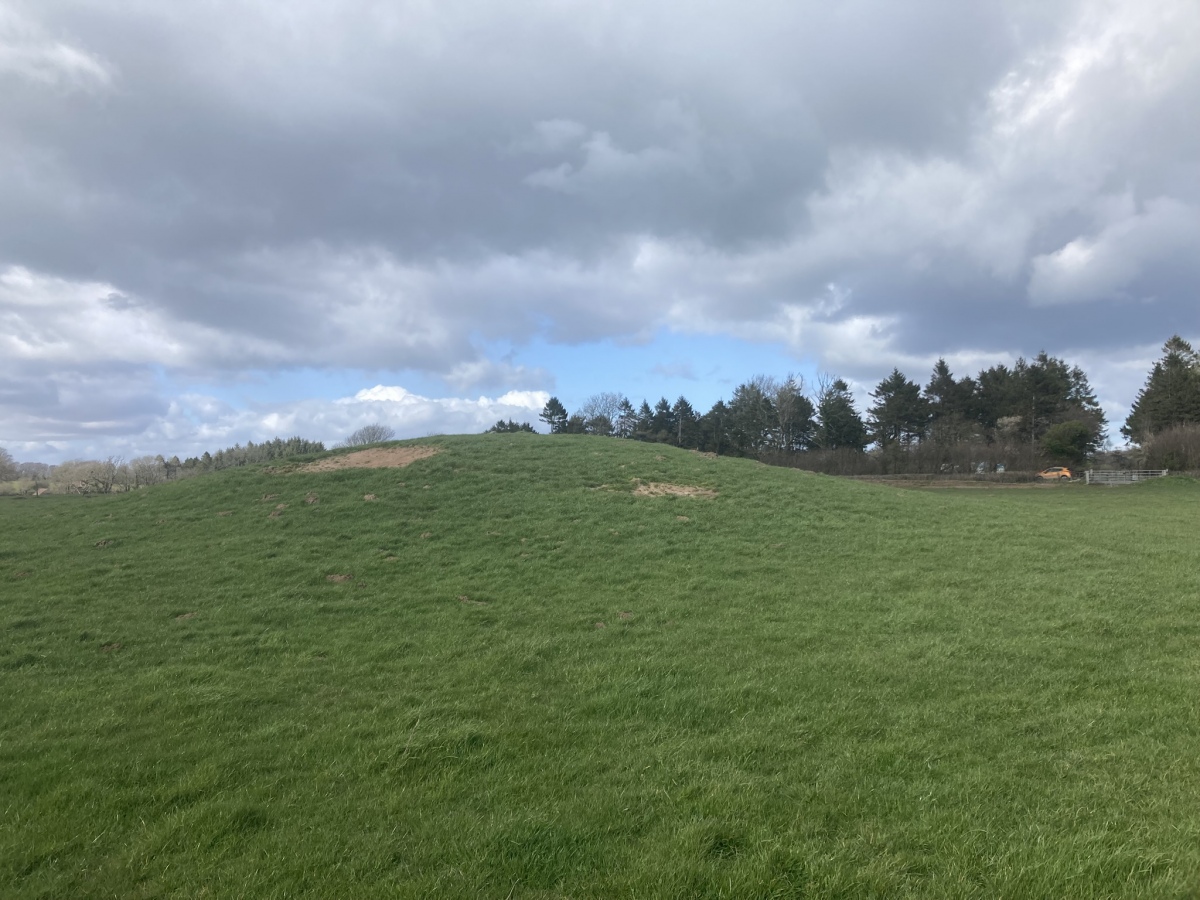 Click for full size image of Whites Town Farm Tumulus (PID:303337) Whites Town Farm Tumulus