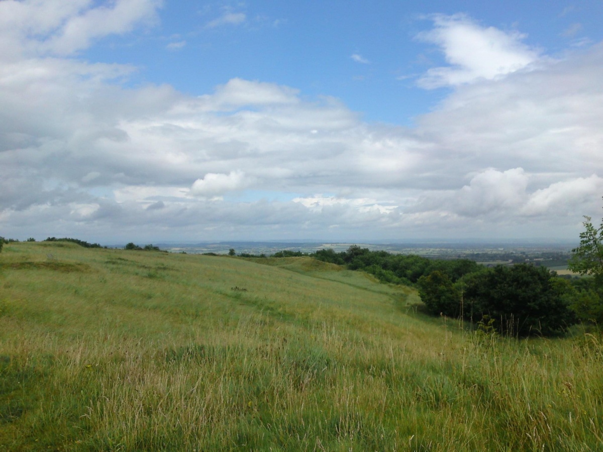 Ham Hill (Somerset)