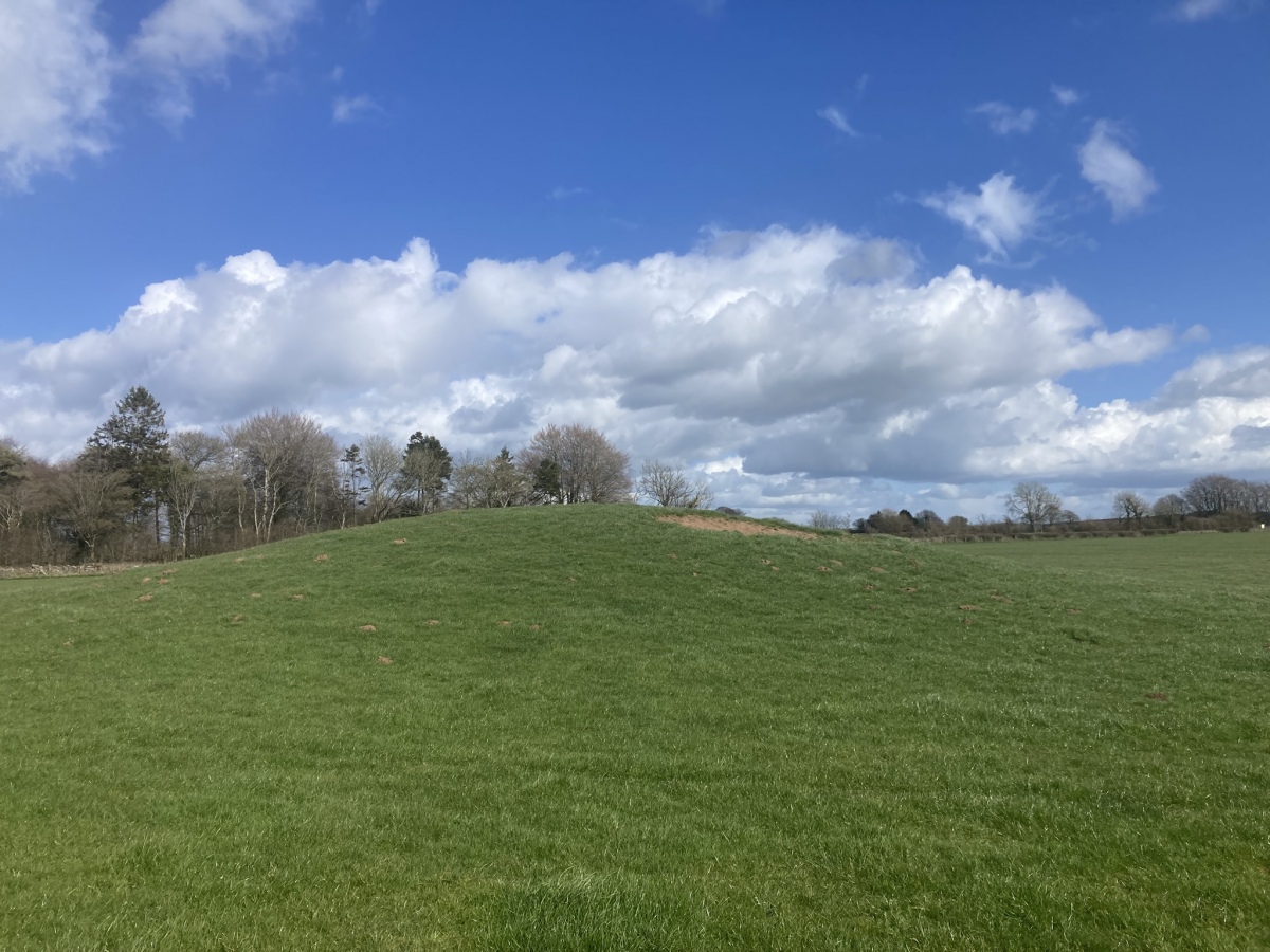 Click for full size image of Whites Town Farm Tumulus (PID:303338) Whites Town Farm Tumulus