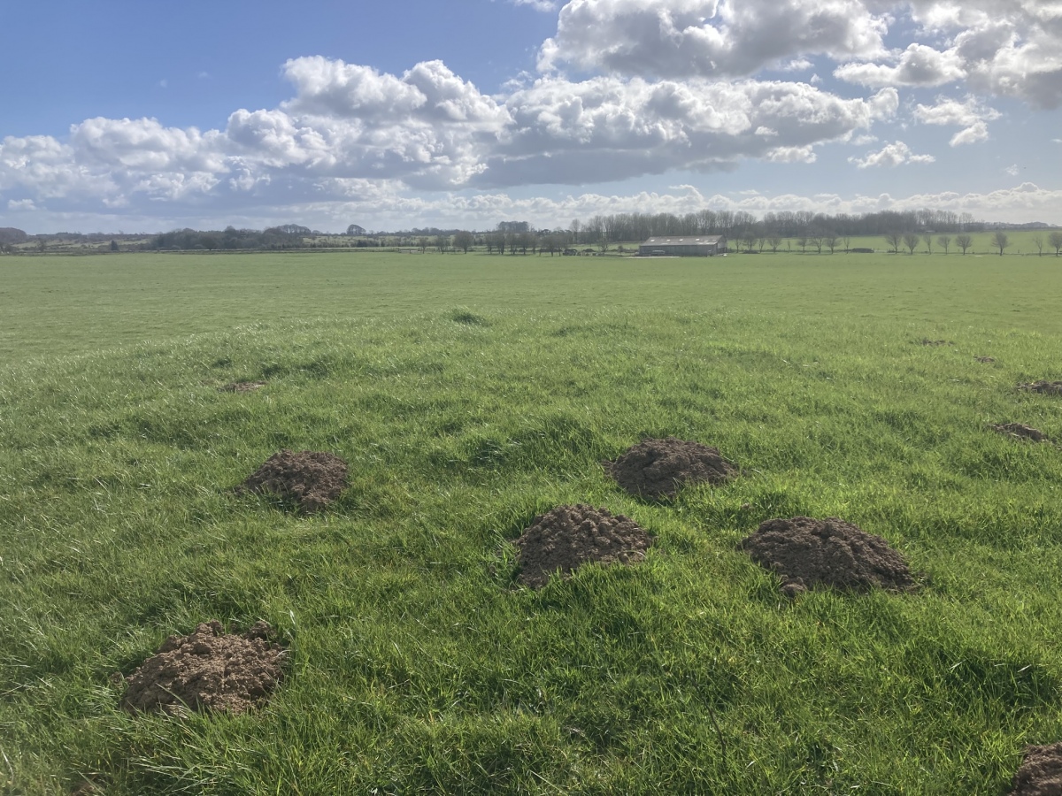Click for full size image of Whites Town Farm Tumulus (PID:303340) Whites Town Farm Tumulus