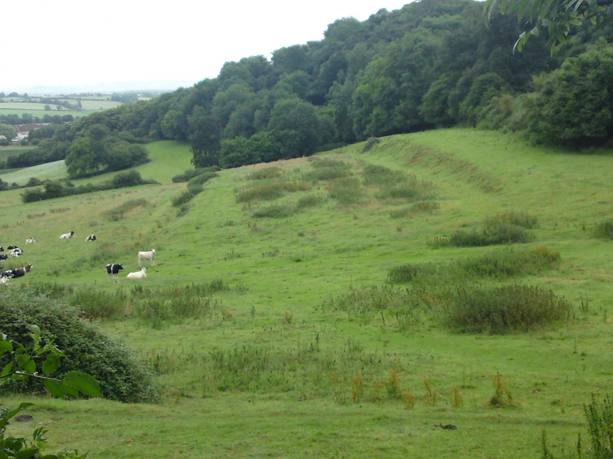 Ham Hill (Somerset)