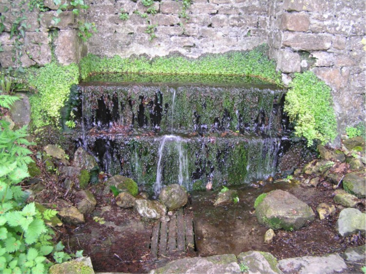 St Aldhelm's Well