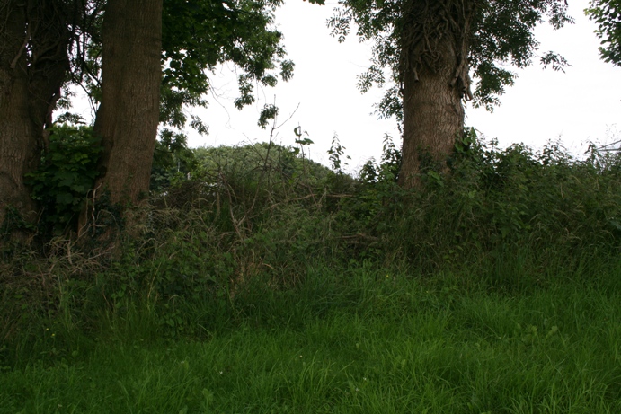 Bathampton Round Barrow 2